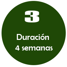 REGIMEN DE PATRIA POSTESTAD